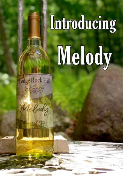 Introducing Melody - A New Ledge Rock Hill Favorite Wine
